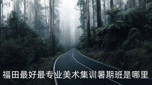 深圳福田區美術培訓班哪里好，福田有哪家美術培訓的