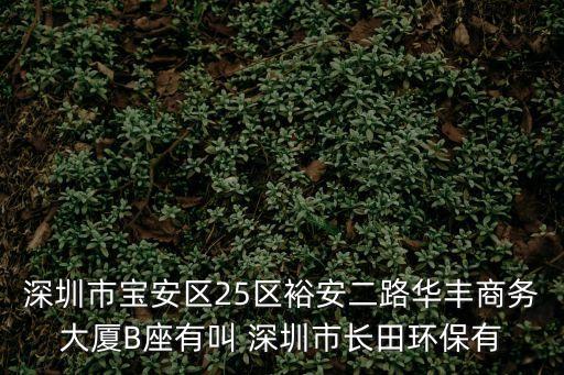 深圳市寶安區(qū)25區(qū)裕安二路華豐商務(wù)大廈B座有叫 深圳市長田環(huán)保有