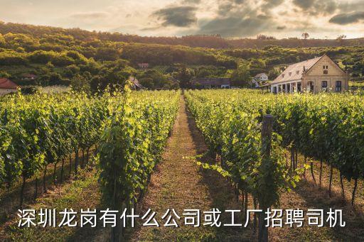 深圳龍崗有什么公司或工廠招聘司機