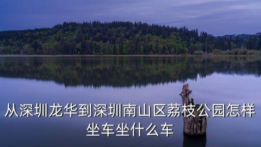 深圳到荔枝公園坐幾路車，從深圳龍華到深圳南山區(qū)荔枝公園怎樣坐車坐什么車