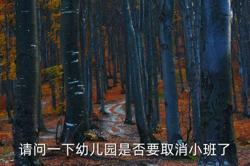 深圳幼兒園取消開學(xué)嗎，深圳路幼兒園何時開學(xué)