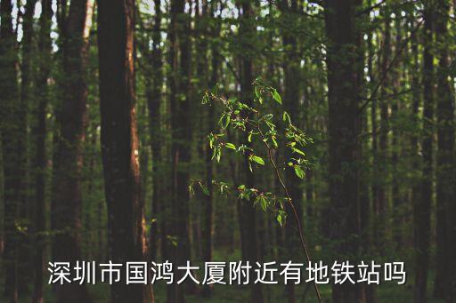 轉租深圳北地鐵口國鴻大廈，深圳市國鴻大廈附近有地鐵站嗎