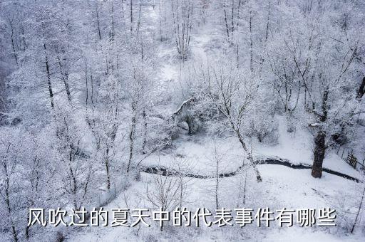 風吹過的夏天中的代表事件有哪些