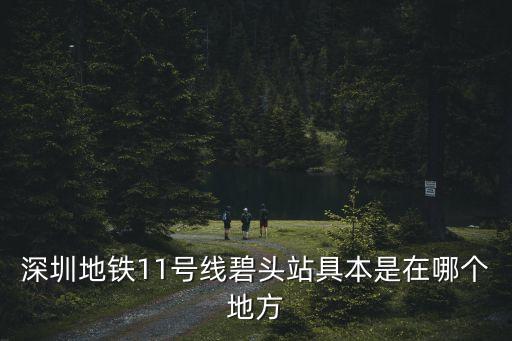 深圳北站到碧頭地鐵站什么座，深圳地鐵11號線碧頭站具本是在哪個地方