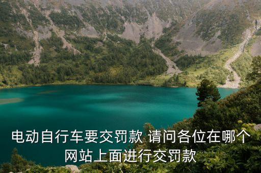 電動自行車要交罰款 請問各位在哪個網站上面進行交罰款