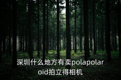 深圳什么地方有賣polapolaroid拍立得相機