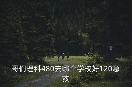 哥們理科480去哪個學校好120急救