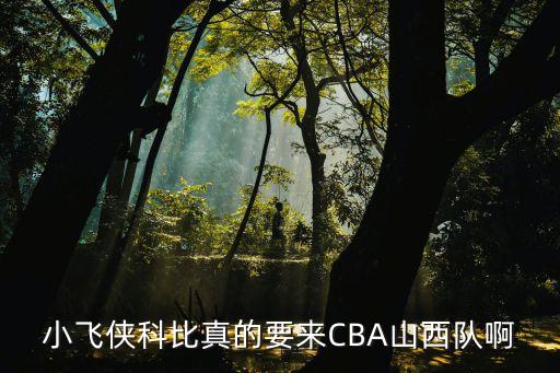 小飛俠科比真的要來CBA山西隊啊