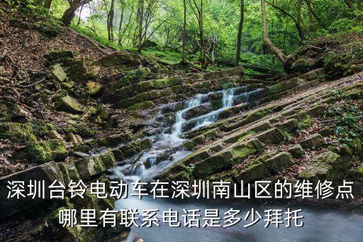 深圳鹽田區(qū)有實(shí)力電動(dòng)車(chē)售后，深圳市鹽田區(qū)有力動(dòng)的專賣(mài)店嗎