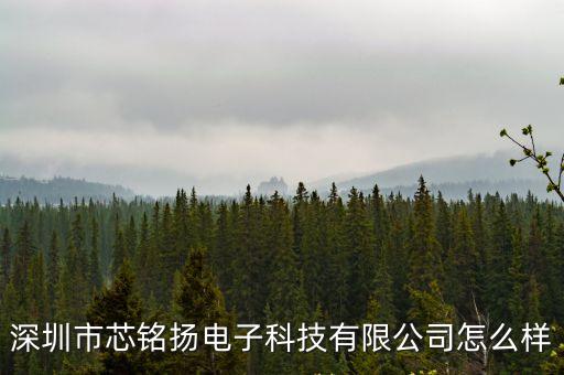 深圳市芯岸科技，深圳市芯銘揚電子科技有限公司怎么樣