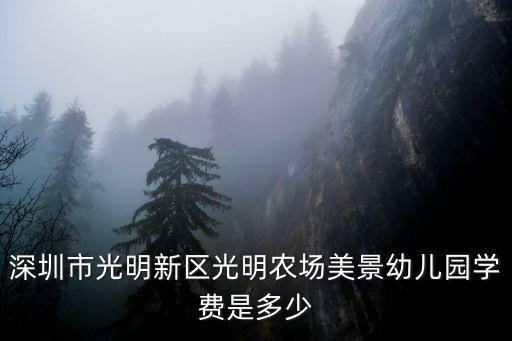 深圳光明公立幼兒園收費(fèi)，深圳市光明新區(qū)光明農(nóng)場(chǎng)美景幼兒園學(xué)費(fèi)是多少