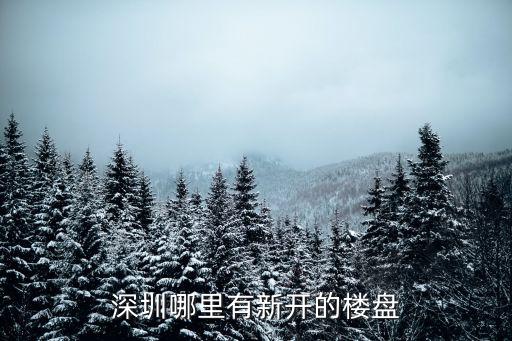 合正2019年深圳新開盤樓房，深圳龍華大浪石巖或周邊有沒有房子買最好是新開的樓盤當然