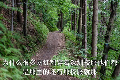 為什么這么多人喜歡深圳校服，為什么深圳校服那么好看