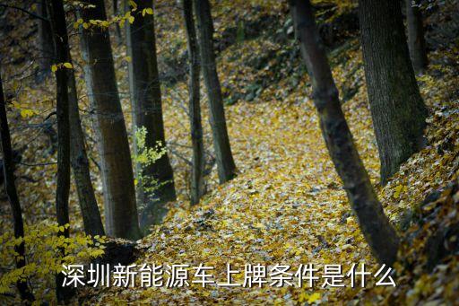 深圳新能源上牌需要什么條件，深圳新能源車上牌條件是什么