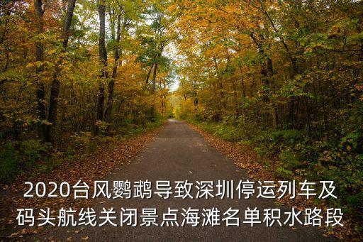 2020臺風鸚鵡導致深圳停運列車及碼頭航線關閉景點海灘名單積水路段