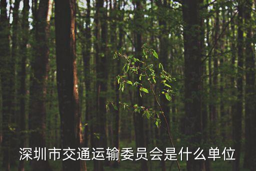 深圳市交通運輸委員會是什么單位