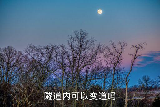隧道內可以變道嗎
