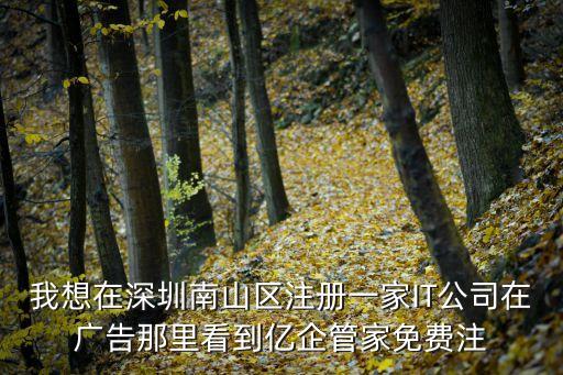 我想在深圳南山區(qū)注冊(cè)一家IT公司在廣告那里看到億企管家免費(fèi)注