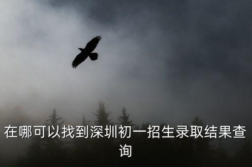 深圳小升初錄取查詢系統，在哪可以找到深圳初一招生錄取結果查詢