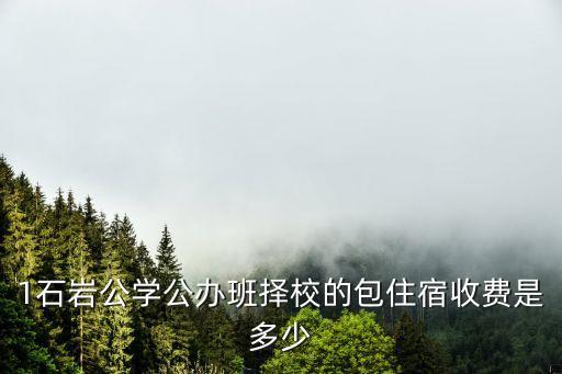 1石巖公學公辦班擇校的包住宿收費是多少