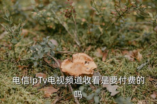 深圳電信iptv可以免費直播嗎，IPTV的直播節目是免費的嗎
