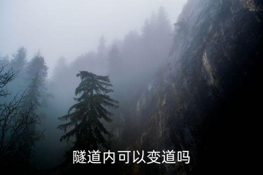 深圳隧道內(nèi)變更車道，隧道內(nèi)可以變道嗎