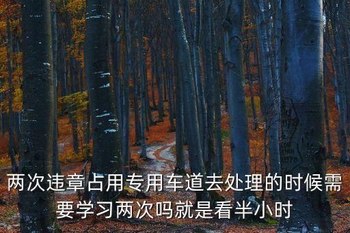 兩次違章占用專用車道去處理的時候需要學習兩次嗎就是看半小時