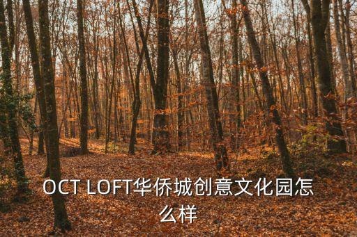 OCT LOFT華僑城創(chuàng)意文化園怎么樣