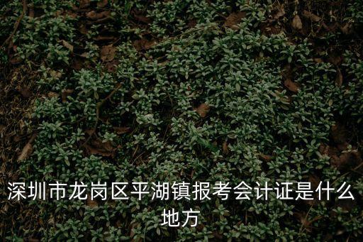 深圳市龍崗區平湖鎮報考會計證是什么地方