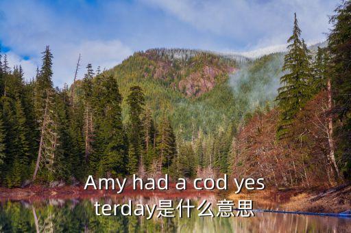 Amy had a cod yesterday是什么意思