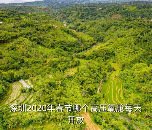 深圳2020年春節哪個高壓氧艙每天開放