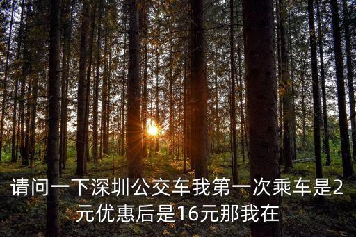 請問一下深圳公交車我第一次乘車是2元優惠后是16元那我在