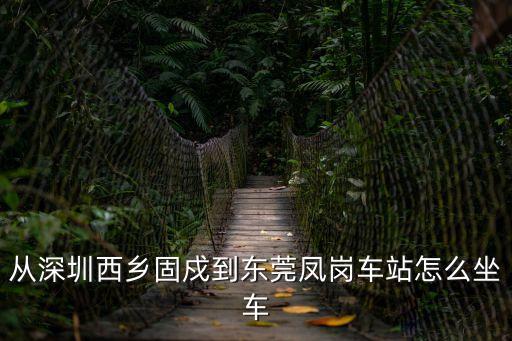 從深圳西鄉固戍到東莞鳳崗車站怎么坐車