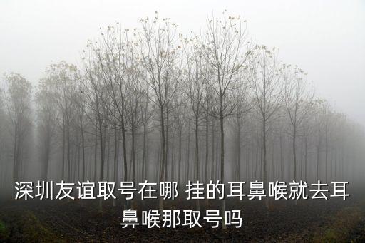深圳友誼用心耳鼻喉，深圳友誼門診部耳鼻喉環境好嗎