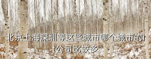 北京上海深圳等這些城市哪個(gè)城市的it公司比較多