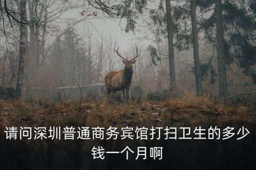 請問深圳普通商務賓館打掃衛生的多少錢一個月啊