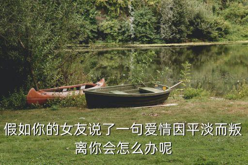 假如你的女友說了一句愛情因平淡而叛離你會怎么辦呢