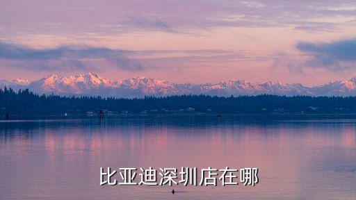 比亞迪深圳店在哪