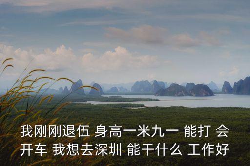 會(huì)開(kāi)車(chē)在深圳能干什么，我剛剛退伍 身高一米九一 能打 會(huì)開(kāi)車(chē) 我想去深圳 能干什么 工作好