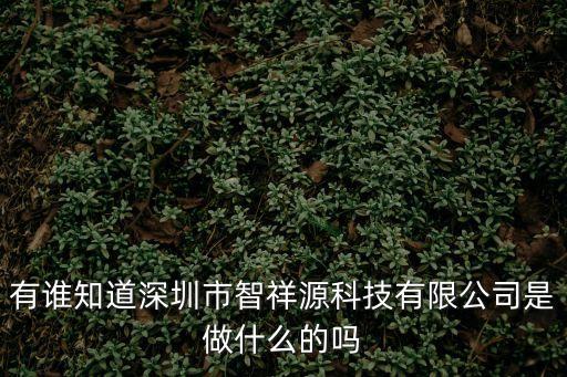 有誰知道深圳市智祥源科技有限公司是做什么的嗎