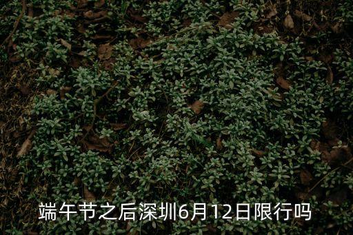端午節之后深圳6月12日限行嗎