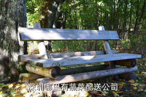 深圳哪里有蔬菜配送公司