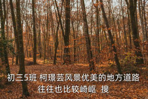 深圳上步中學04屆初三5班，深圳上步中學的分班考有多難