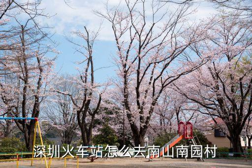南油南園村到深圳火車站多少錢，南油到深圳站怎么坐地鐵