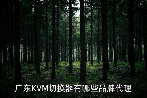 廣東KVM切換器有哪些品牌代理