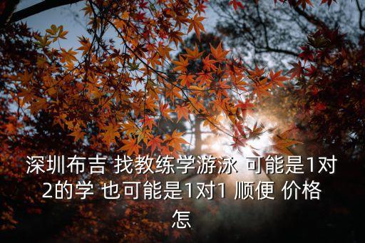 深圳布吉 找教練學游泳 可能是1對2的學 也可能是1對1 順便 價格怎
