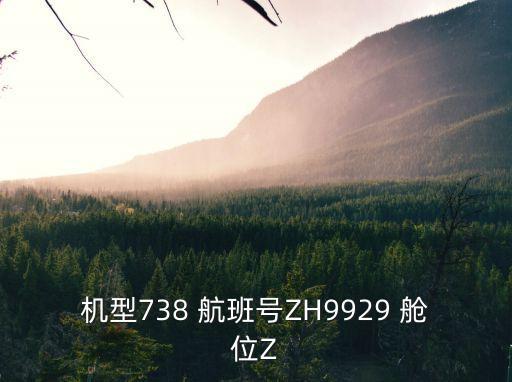機型738 航班號ZH9929 艙位Z