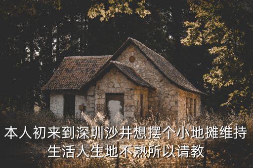 本人初來到深圳沙井想擺個(gè)小地?cái)偩S持生活人生地不熟所以請教
