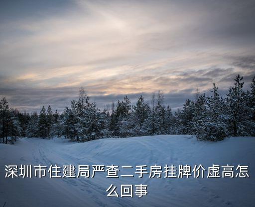 深圳嚴查二手房掛牌價虛高行為l1，深圳南山西麗平山196棟601的房屋編碼