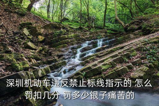 深圳機動車違反禁止標線指示的 怎么罰扣幾分 罰多少銀子痛苦的